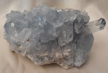Load image into Gallery viewer, Celestite Cluster
