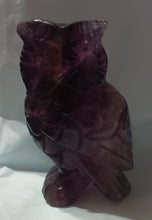 Load image into Gallery viewer, Flourite Owl