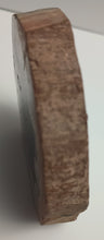 Load image into Gallery viewer, Petrified Wood