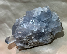 Load image into Gallery viewer, Celestite Cluster