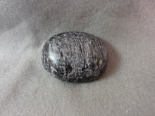 Load image into Gallery viewer, Kammererite Palm Stone