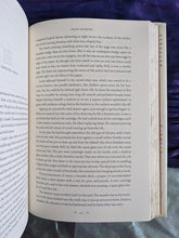 Load image into Gallery viewer, Four Spirits