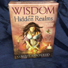 Load image into Gallery viewer, Wisdom of the Hidden Realms Oracle