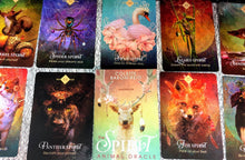 Load image into Gallery viewer, Spirit Animal Oracle