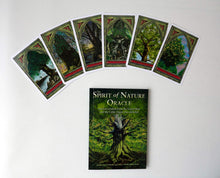 Load image into Gallery viewer, The Spirit of Nature Oracle: Ancient Wisdom from the Green Man and the Celtic Ogam Tree Alphabet