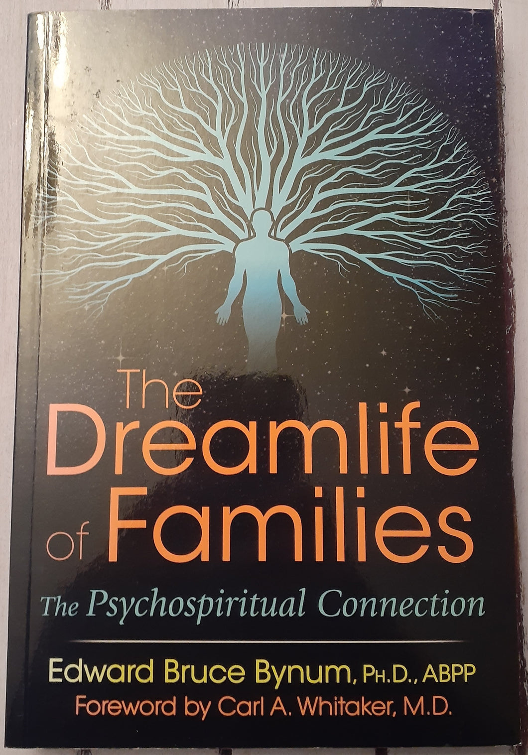 The Dreamlife of Families: The Psychospiritual Connection