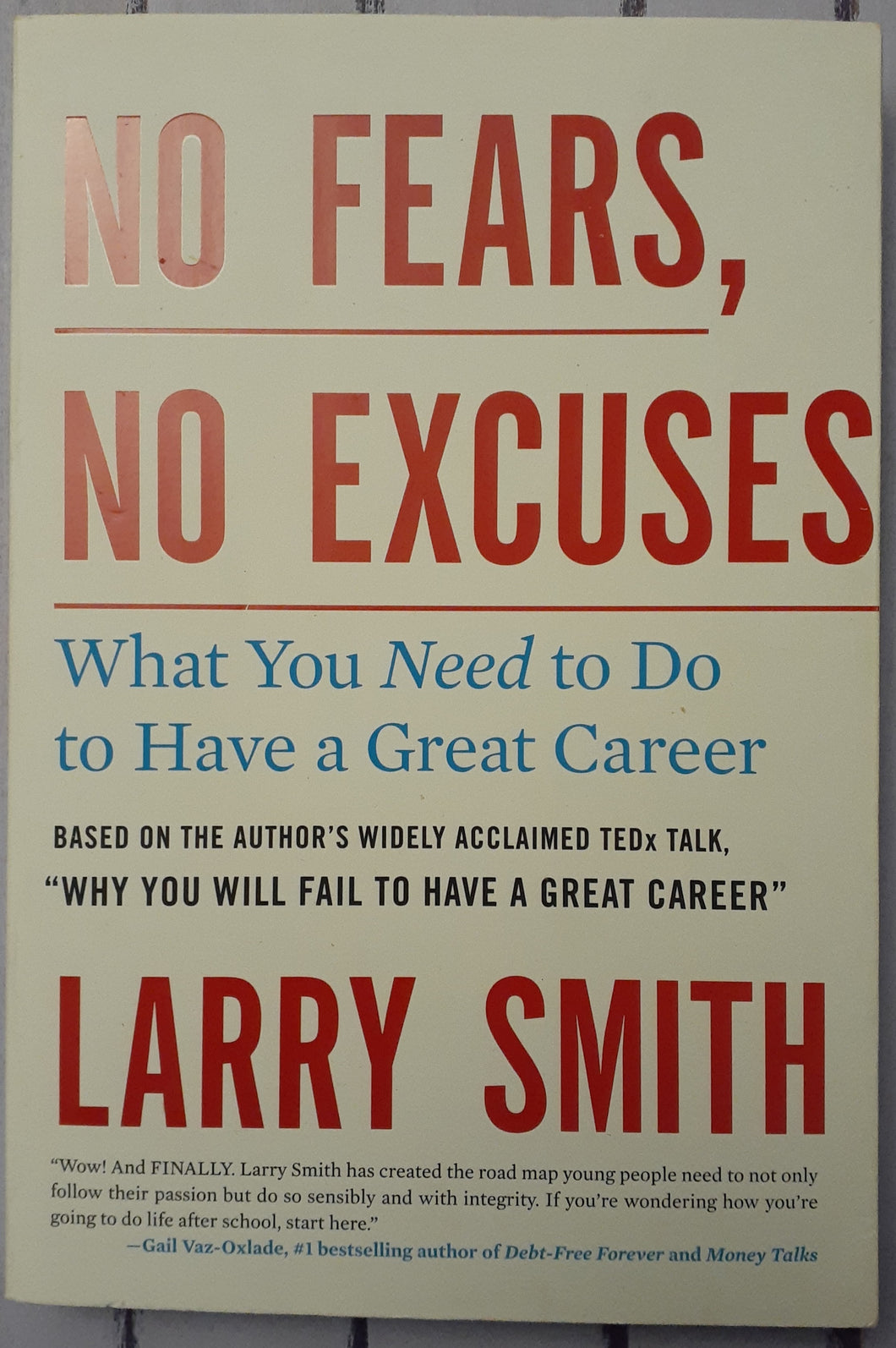 No Fears, No Excuses: What You Need to Do to Have a Great Career