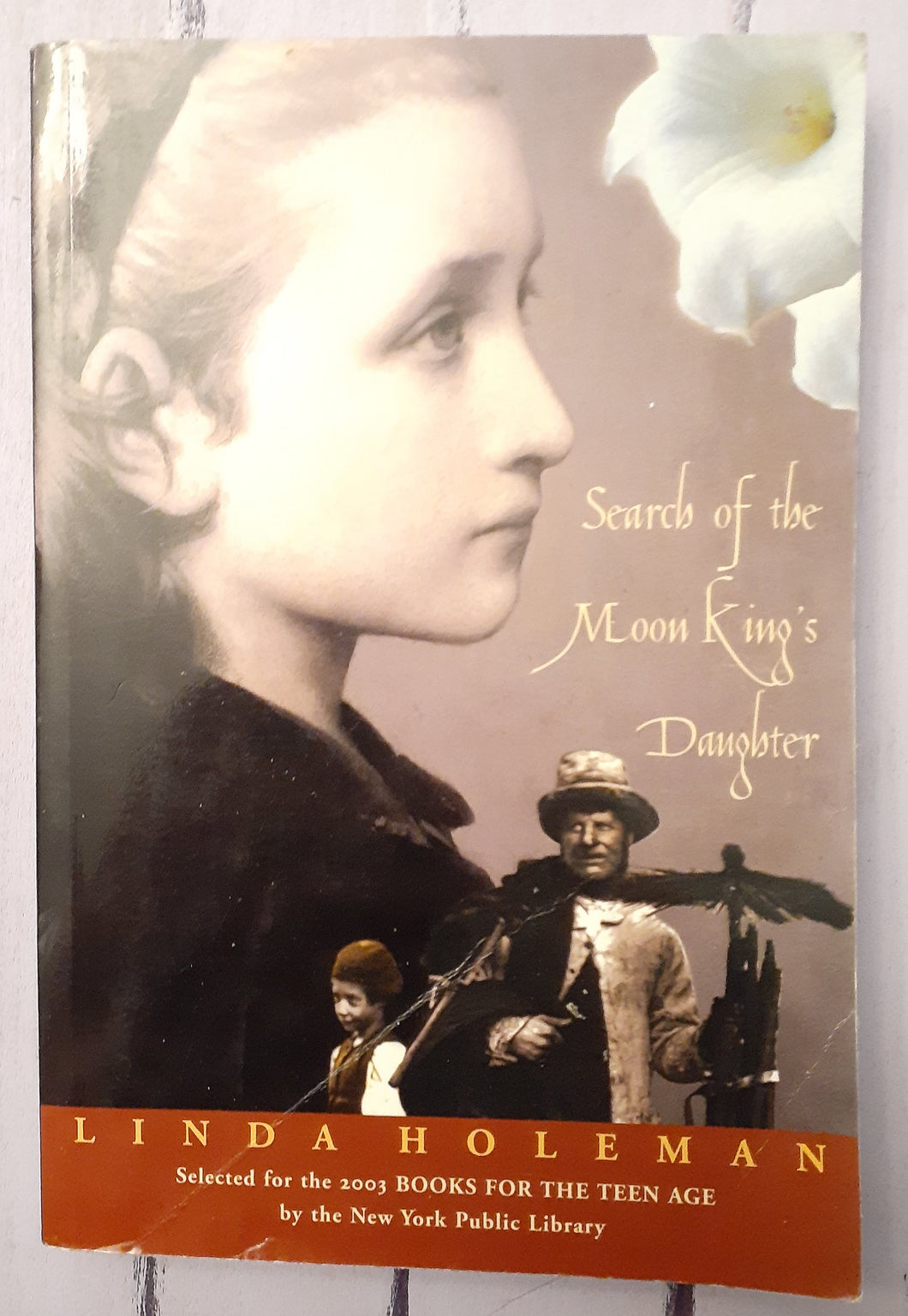 Search of the Moon King's Daughter