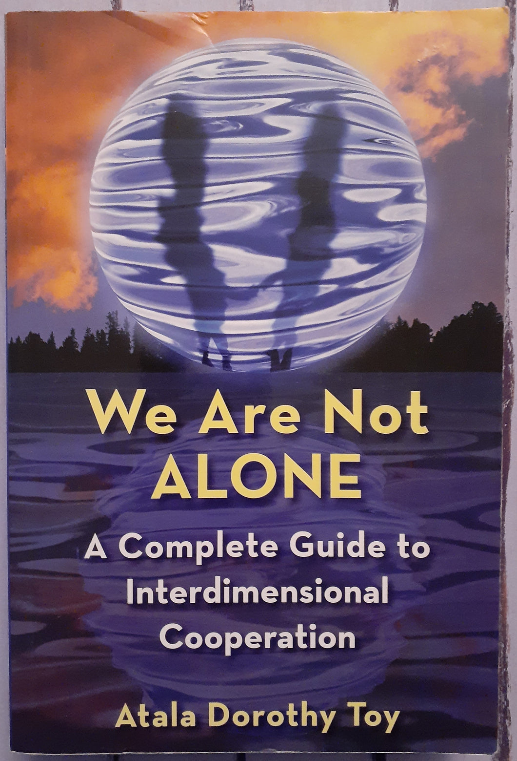 We Are Not Alone: A Complete Guide to Interdimensional Cooperation