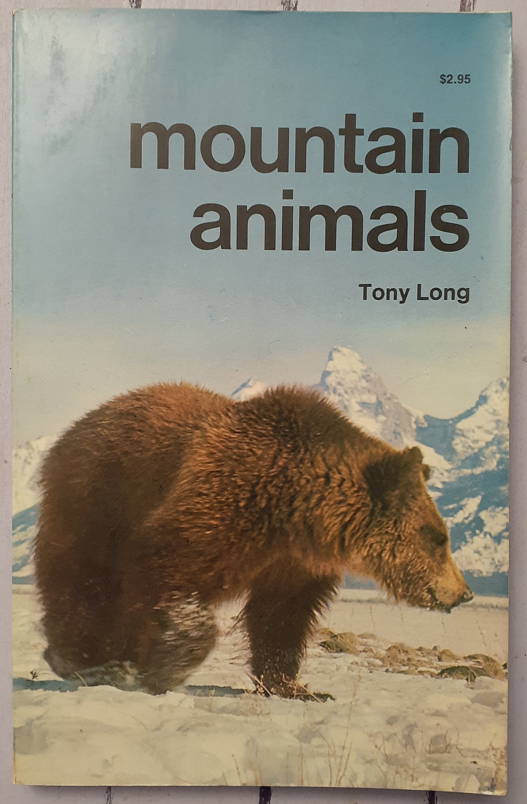 Mountain Animals