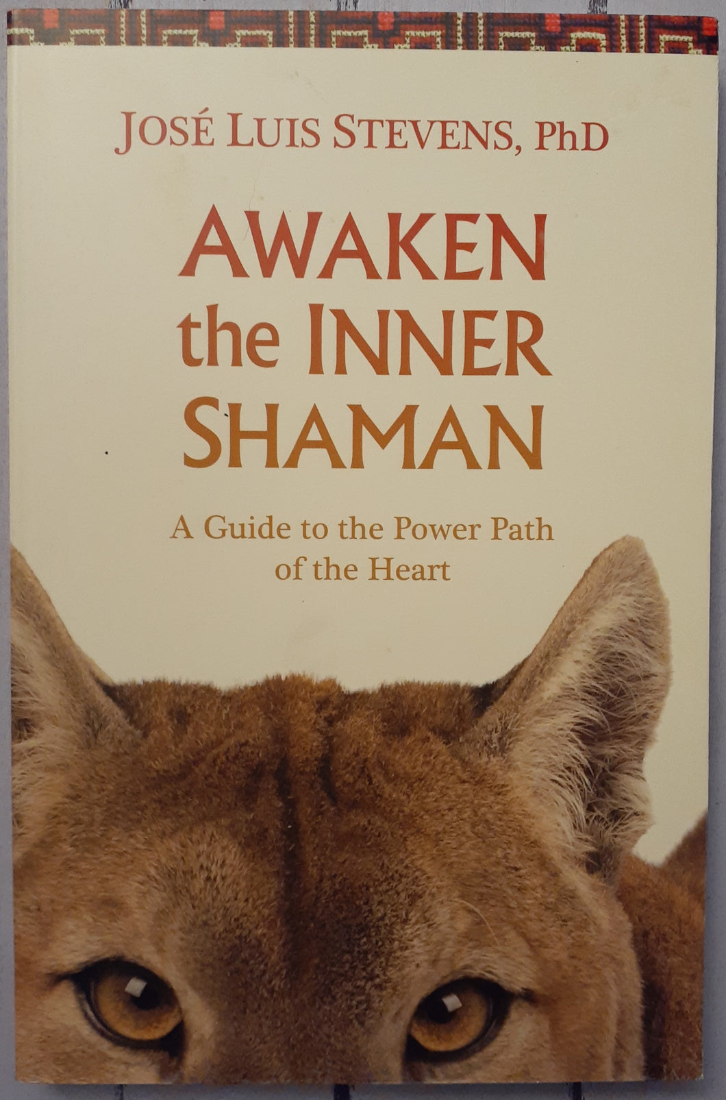 Awaken the Inner Shaman: A Guide to the Power Path of the Heart