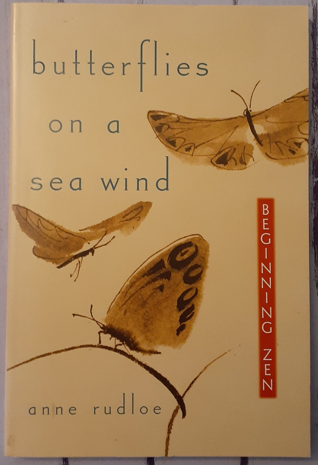 Butterflies on a Sea Wind: Beginning Zen