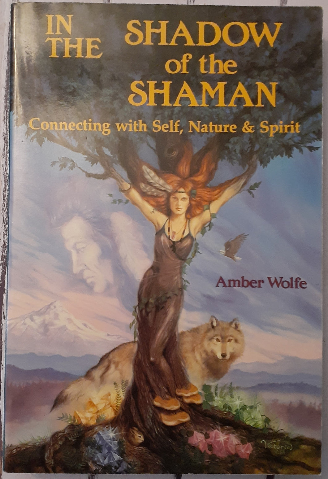 In the Shadow of the Shaman: Connecting with Self, Nature, and Spirit