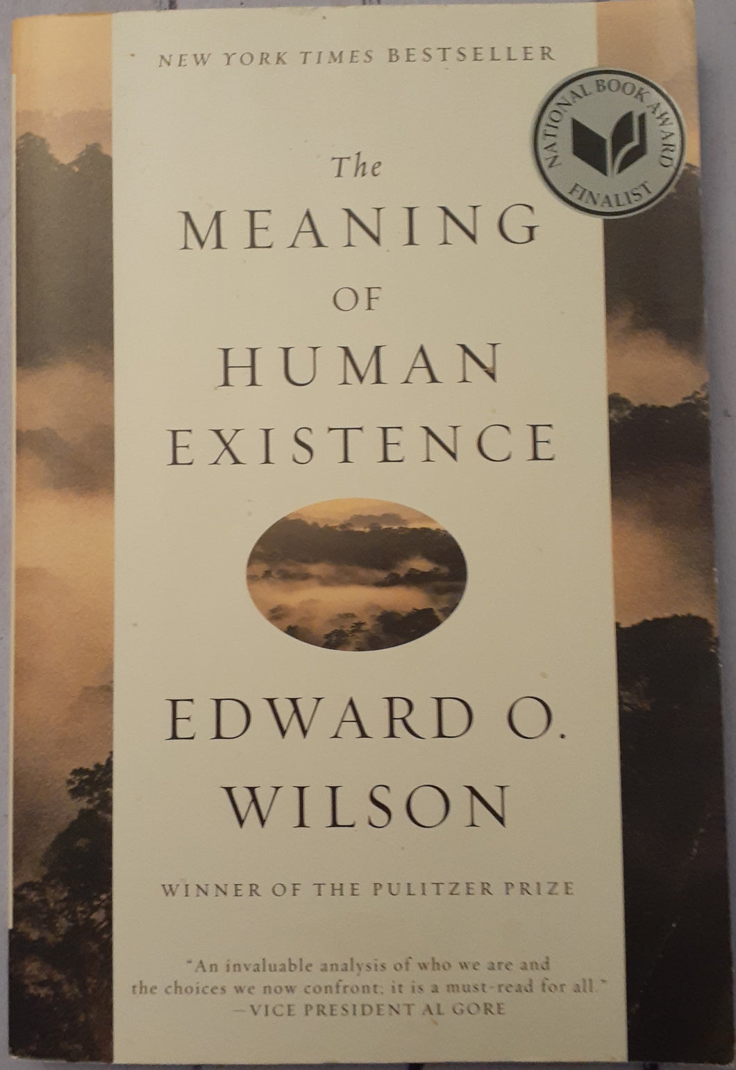 The Meaning of Human Existence