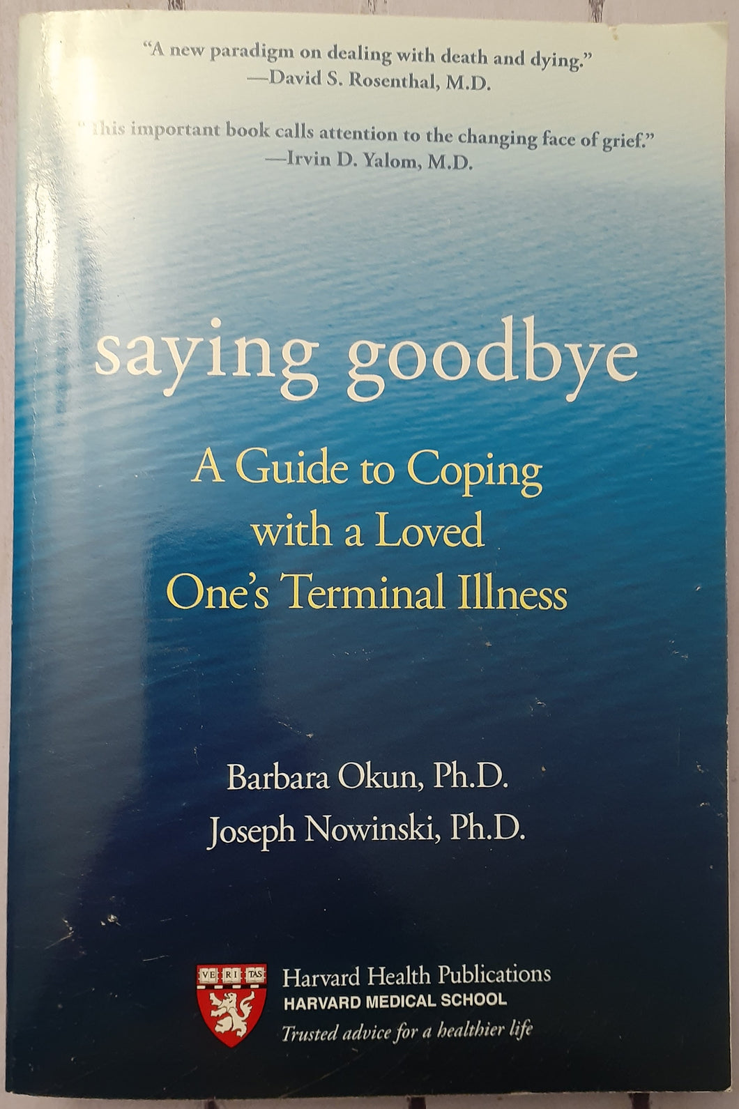 Saying Goodbye: A Guide to Coping with a Loved One's Terminal Illness