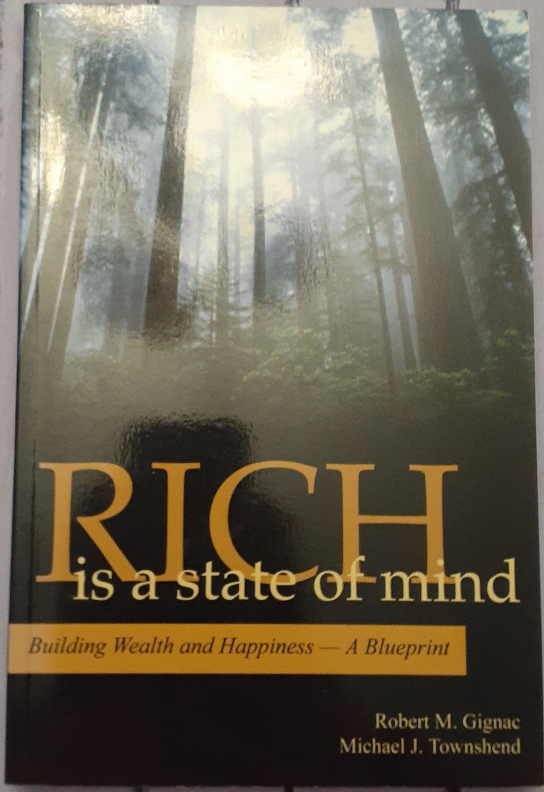 Rich is a State of Mind - Building Wealth and Happiness : A Blueprint