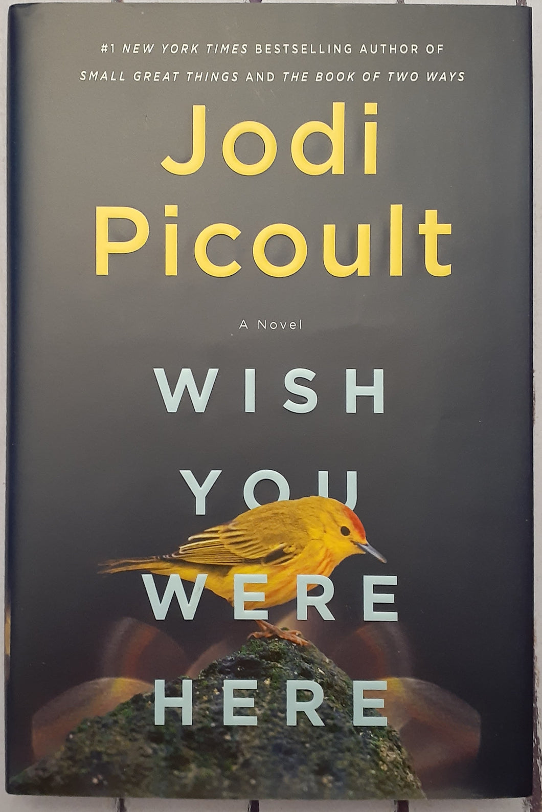 Wish You Were Here: A Novel