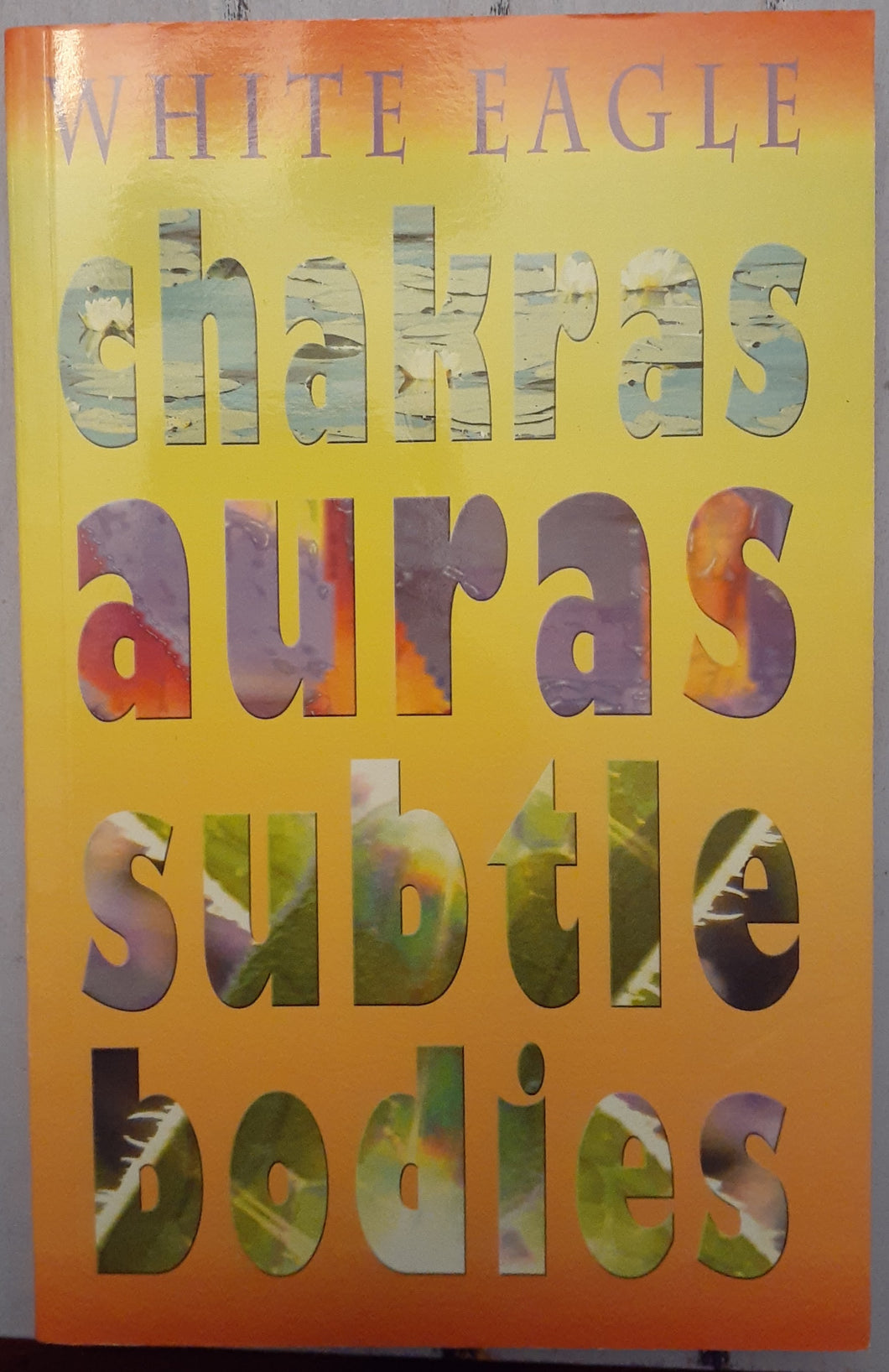 Chakras, Auras, Subtle Bodies