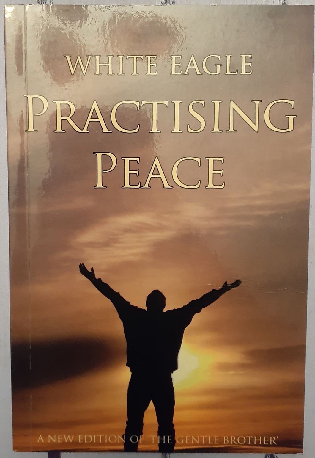 Practising Peace