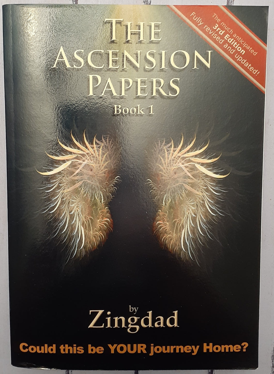 The Ascension Papers, Book 1: Could this be YOUR journey Home?