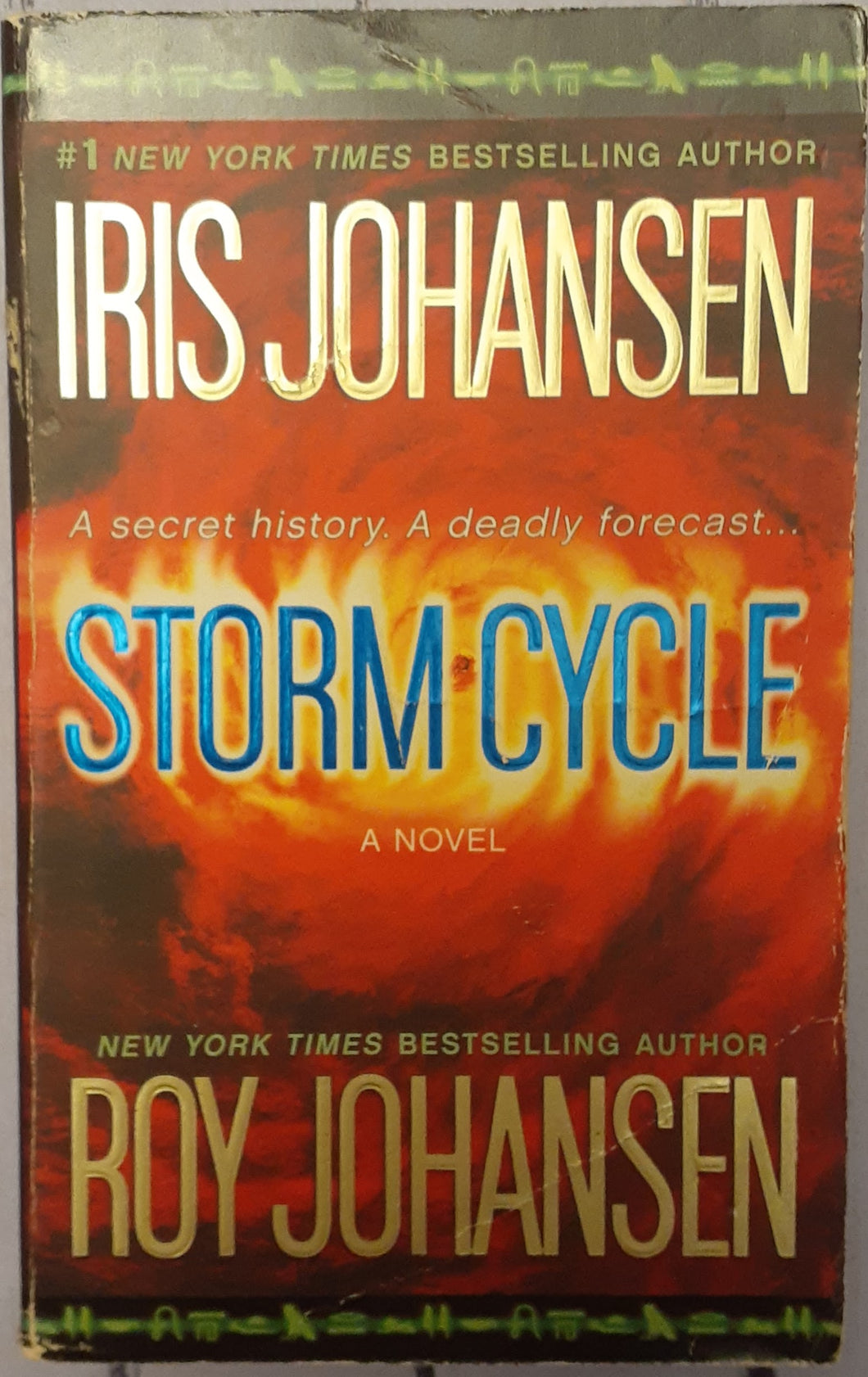 Storm Cycle: A Novel