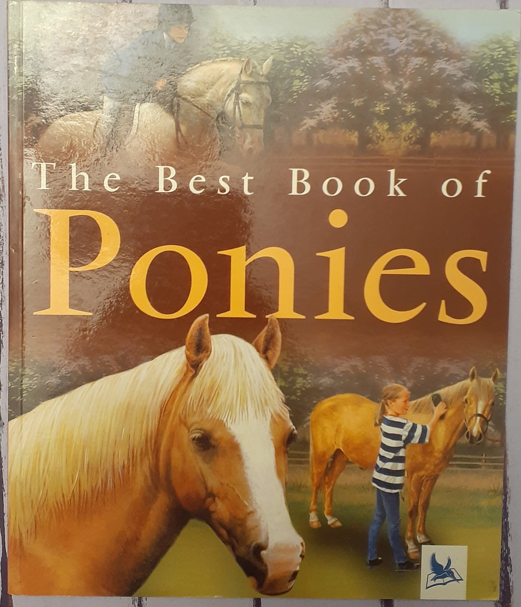 The Best Book of Ponies