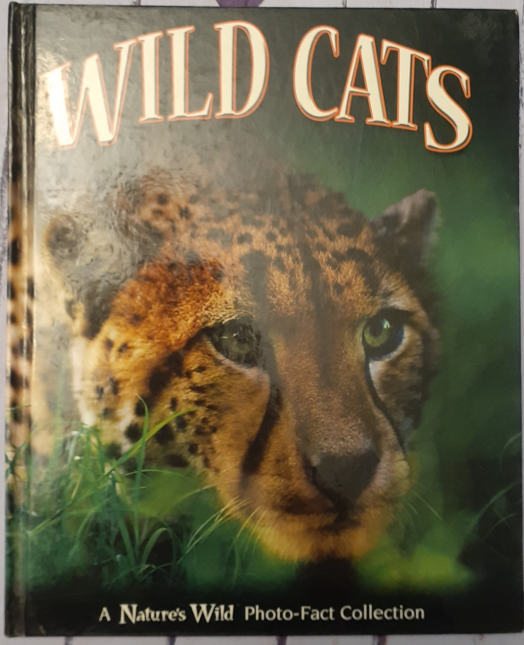 Wild Cats