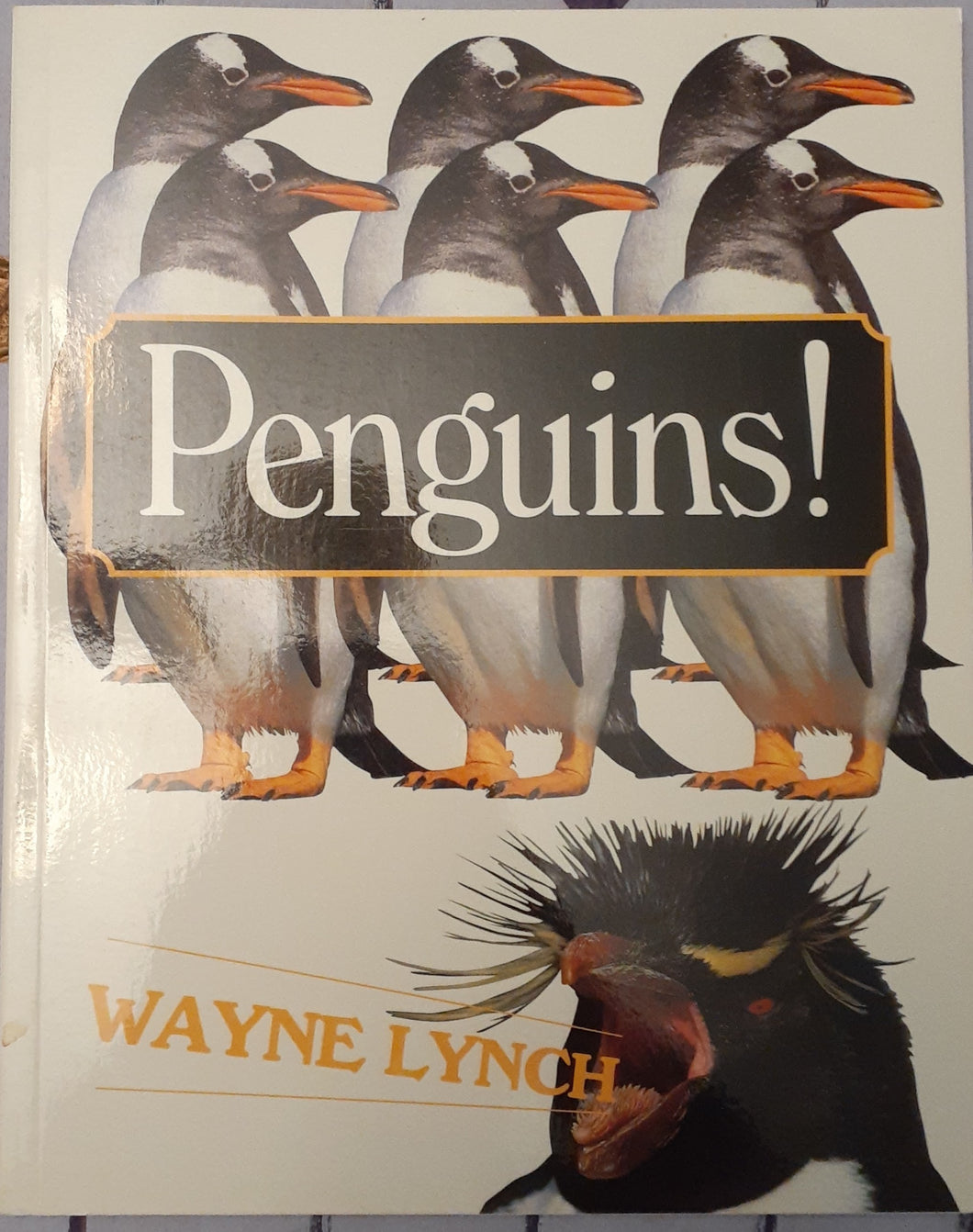 Penguins!