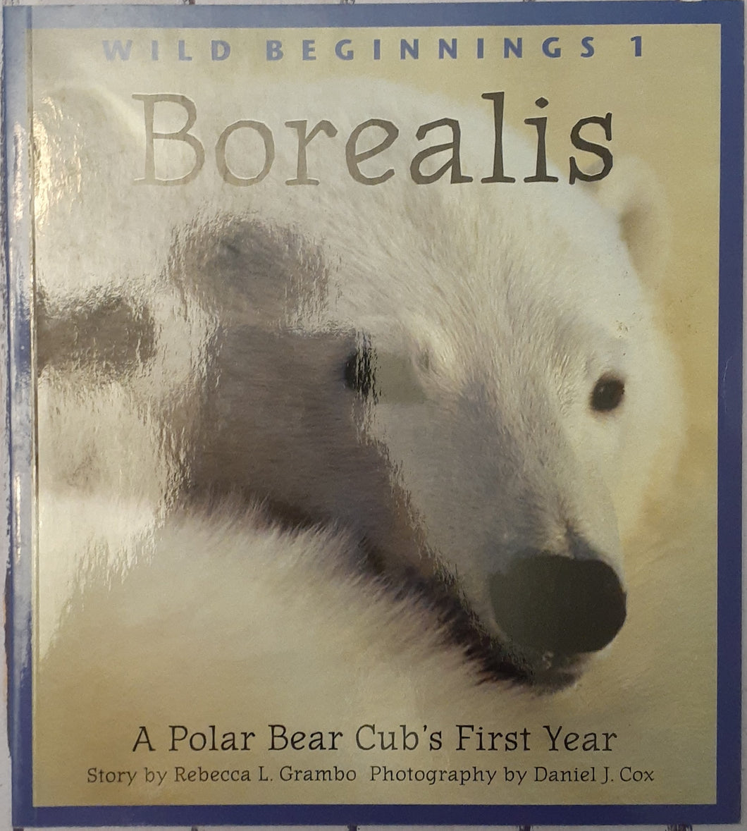 Wild Beginnings - Borealis