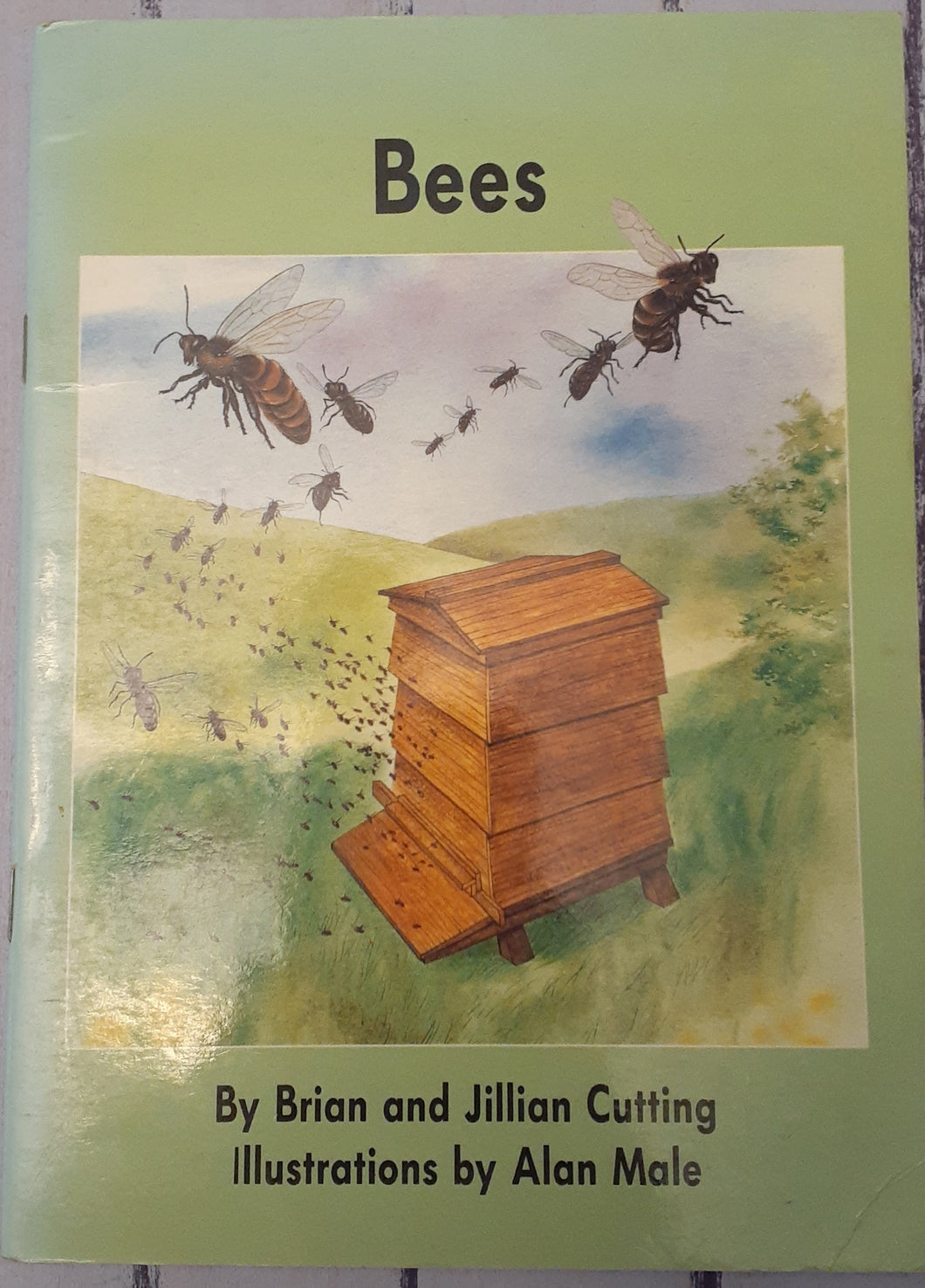 Bees