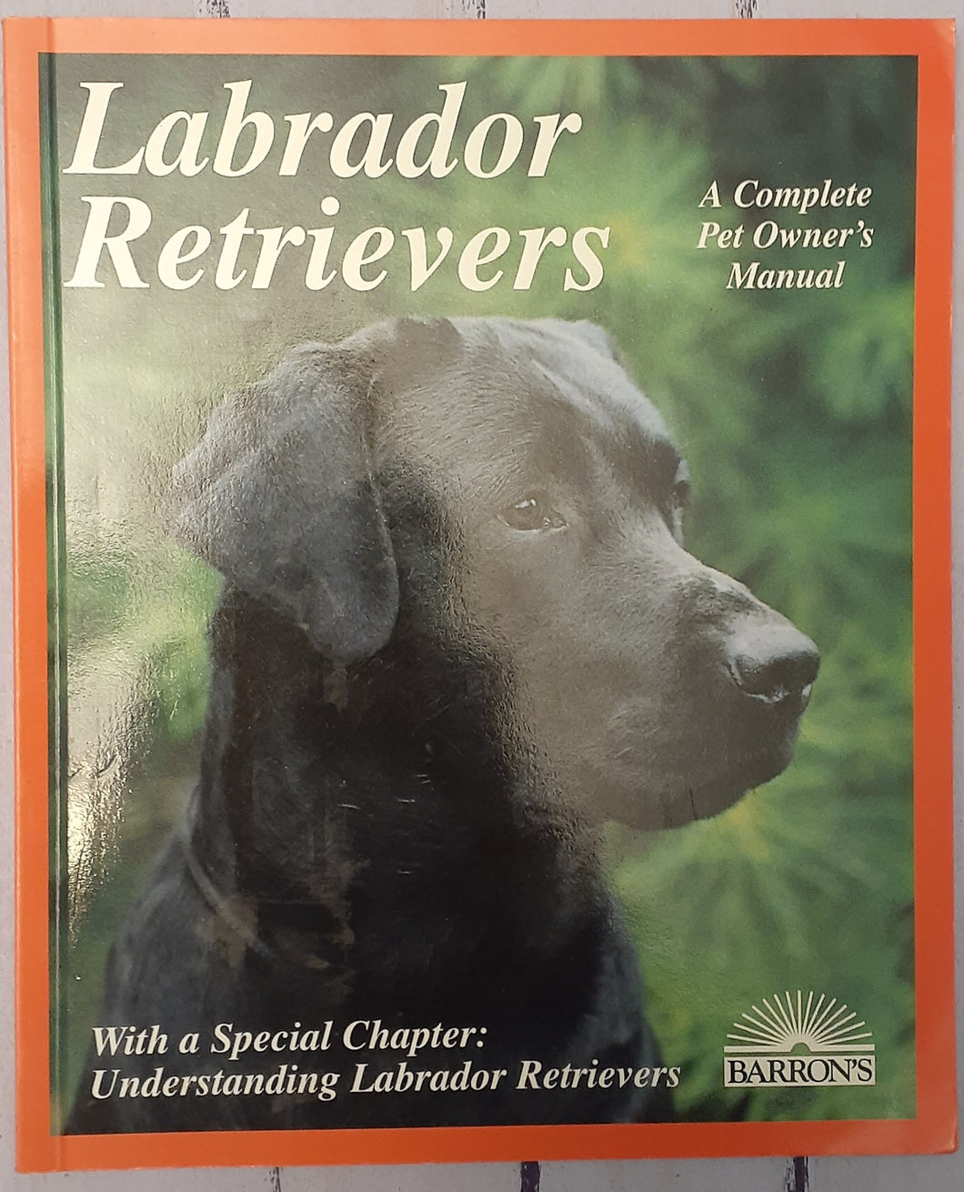 Labrador Retrievers