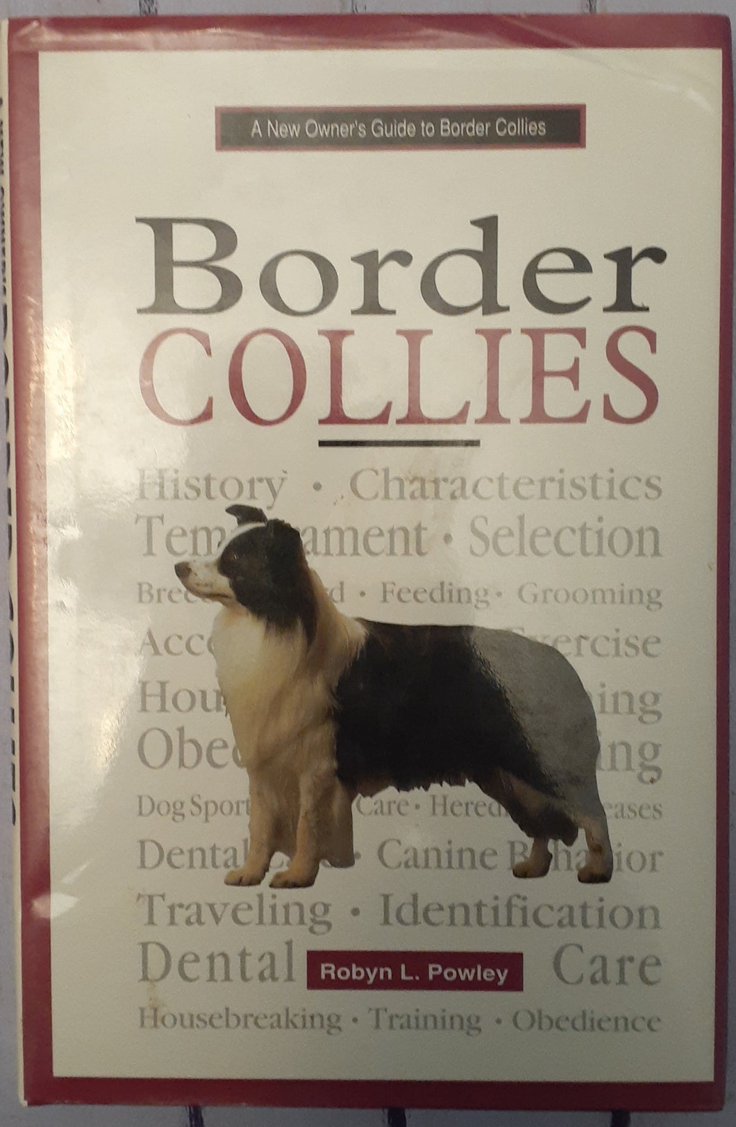 Border Collies