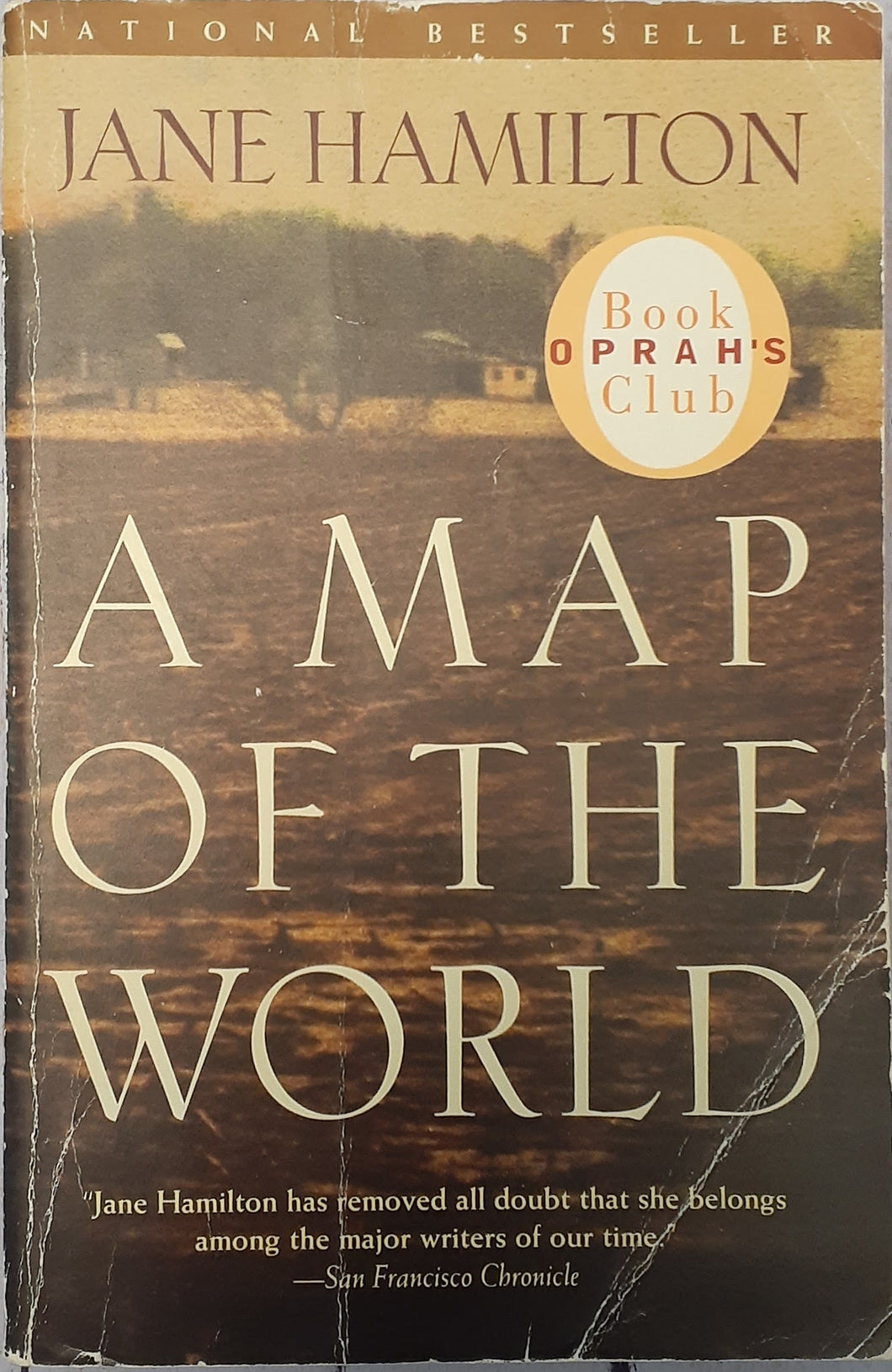 A Map of the World: A Novel