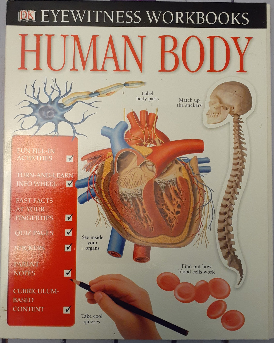 Human Body