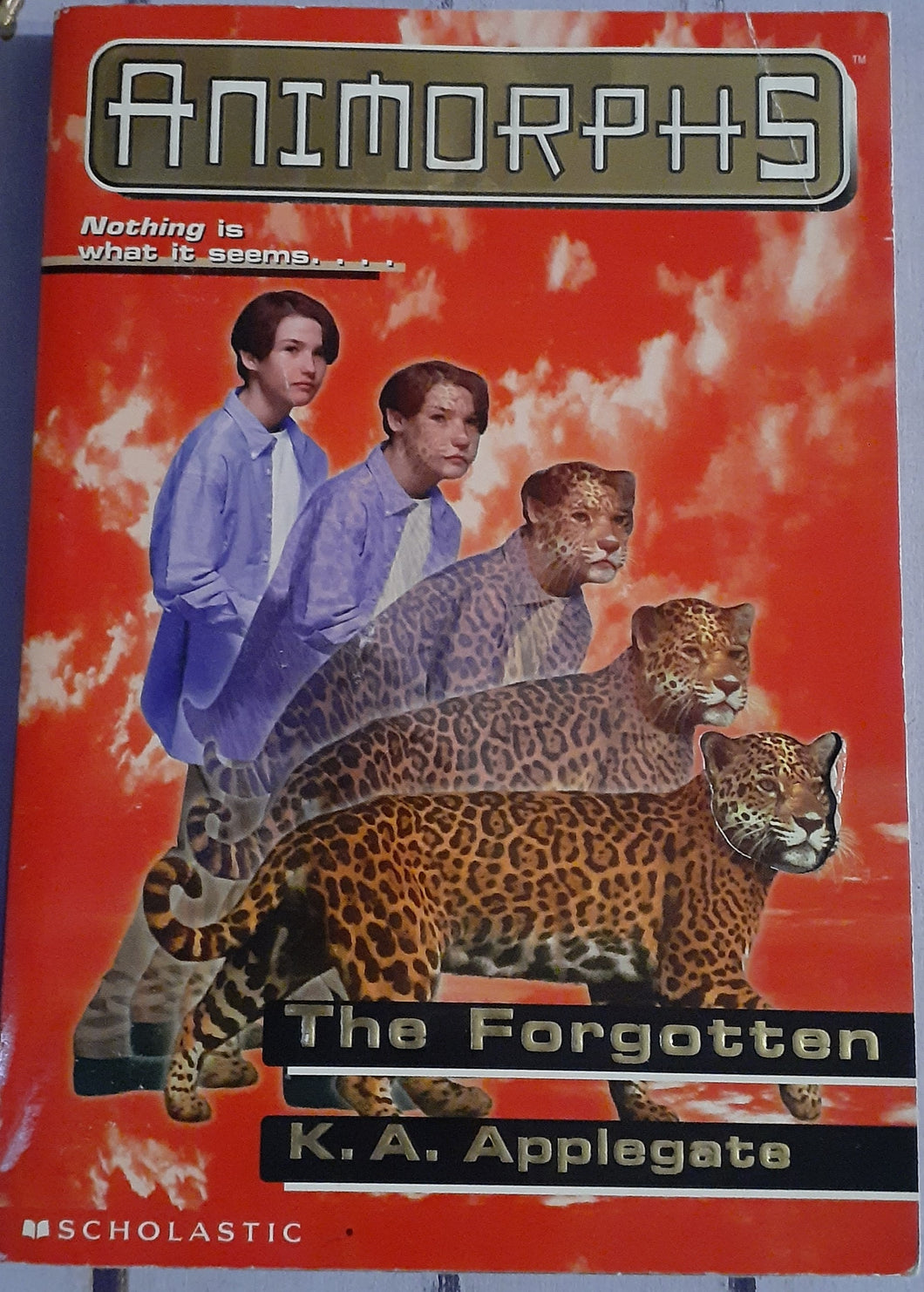 Animorphs - The Forgotten