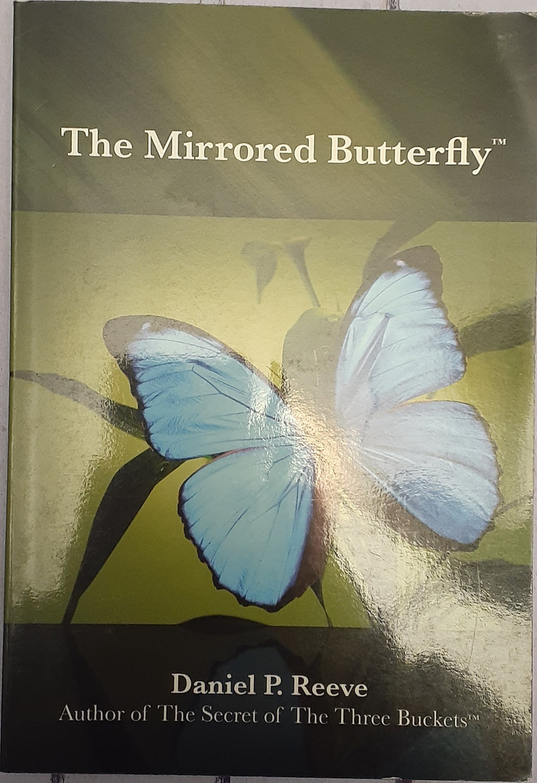 The Mirrored Butterfly