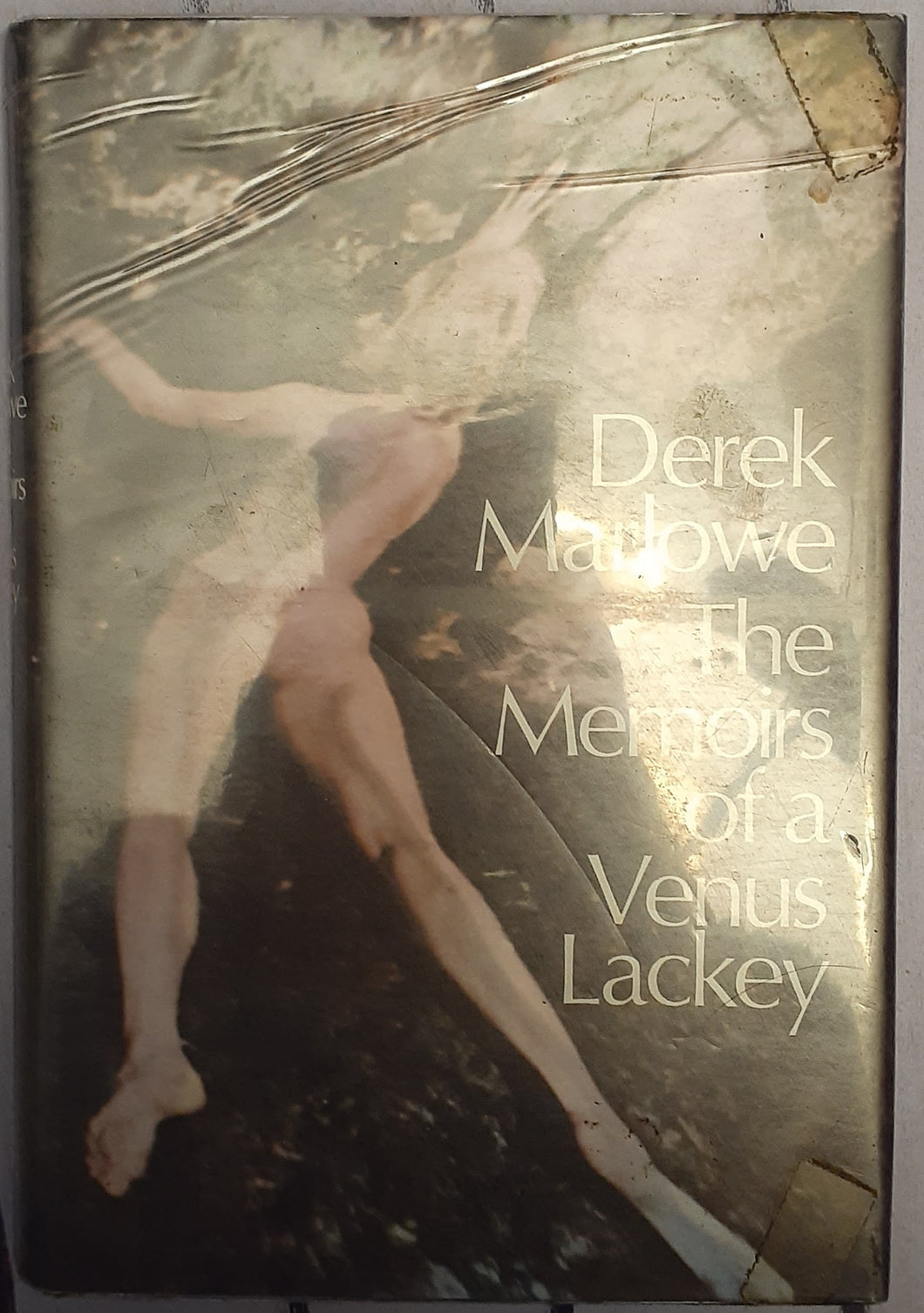 The Memoirs of a Venus Lackey