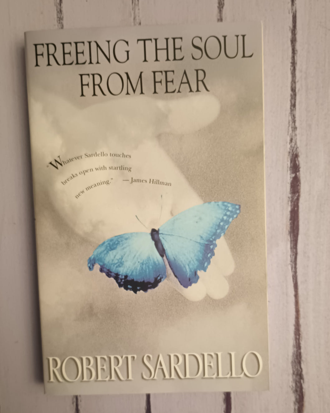 Freeing the Soul from Fear