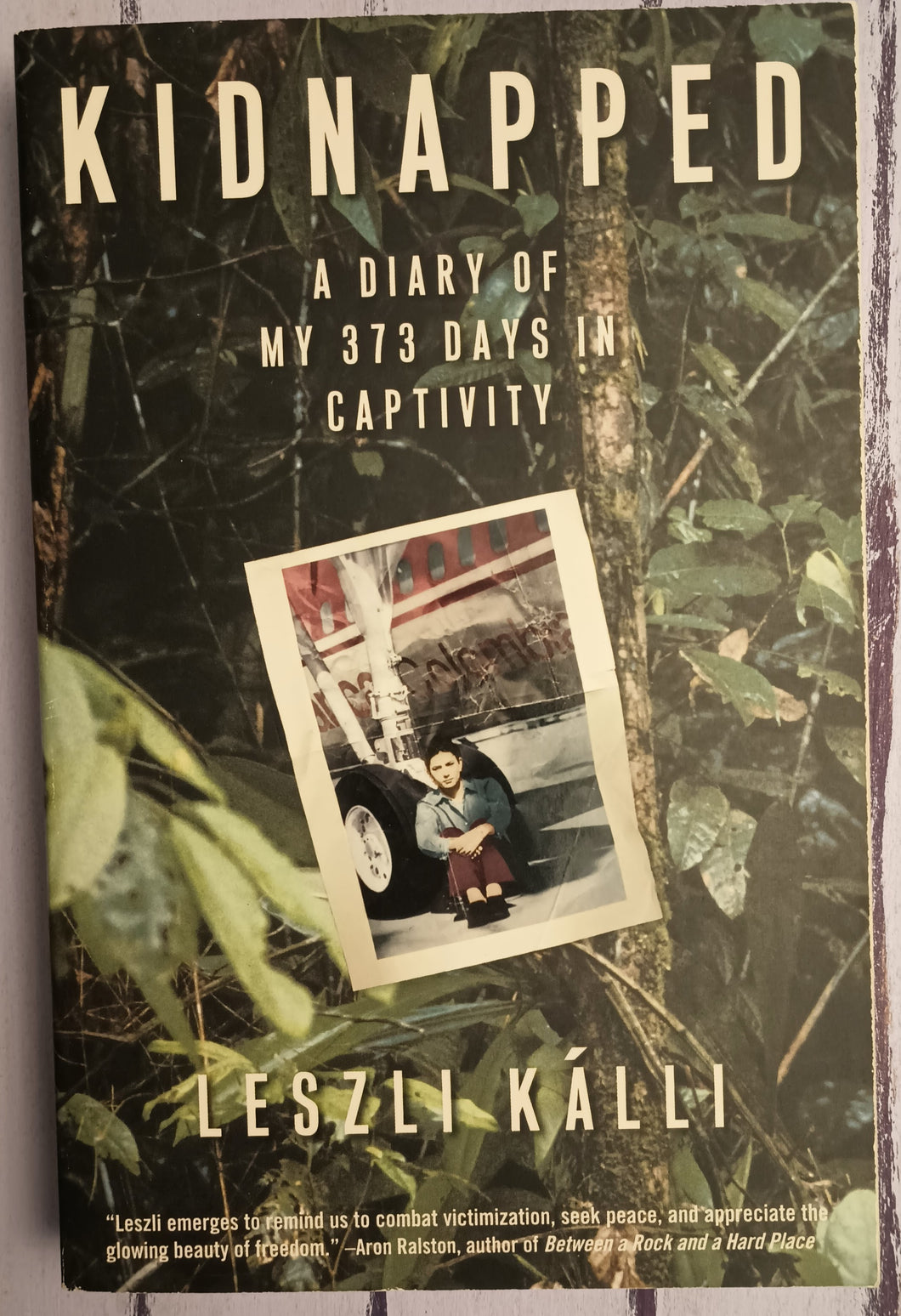 Kidnapped: A Diary of My 373 Days in Captivity