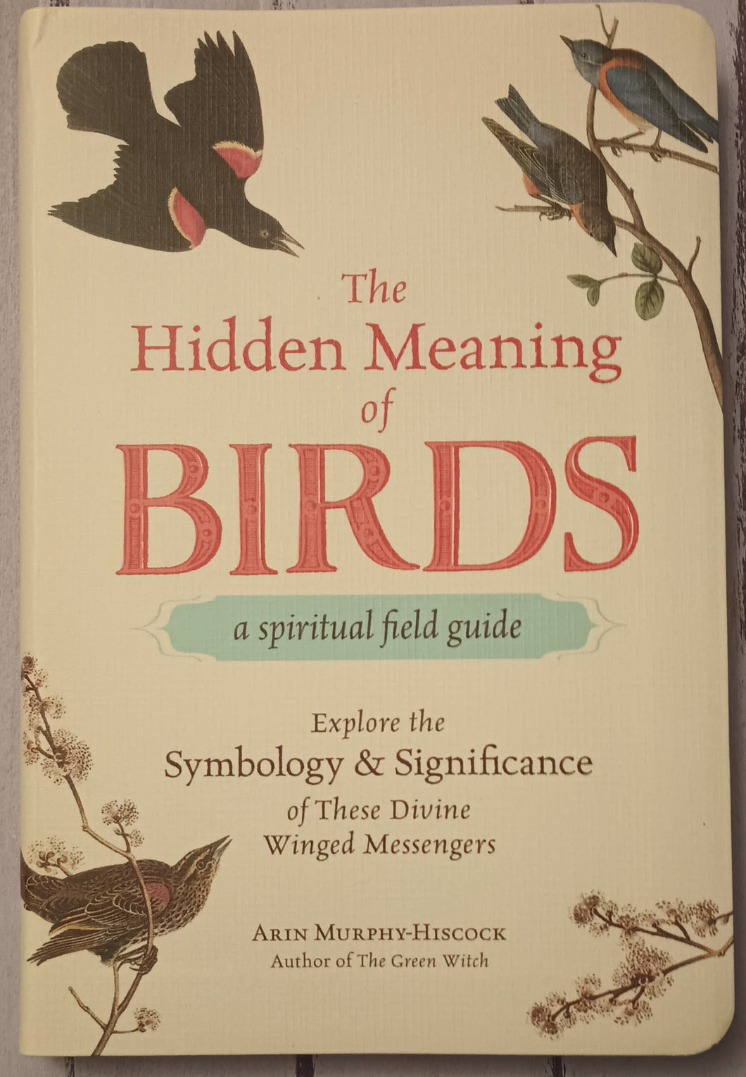 The Hidden Meaning of Birds--A Spiritual Field Guide: Explore the Symbology and Significance of These Divine Winged Messengers