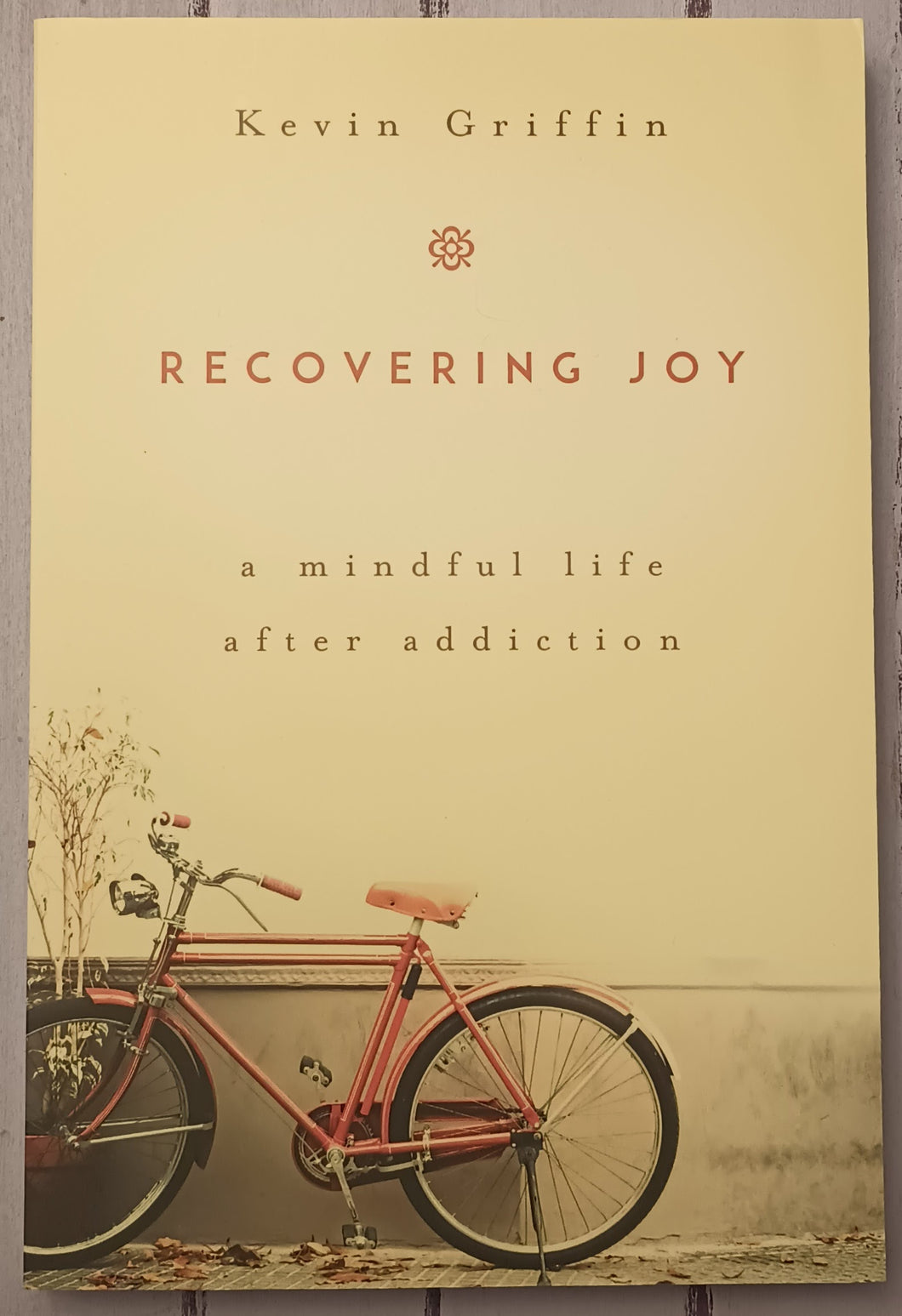 Recovering Joy: A Mindful Life After Addiction