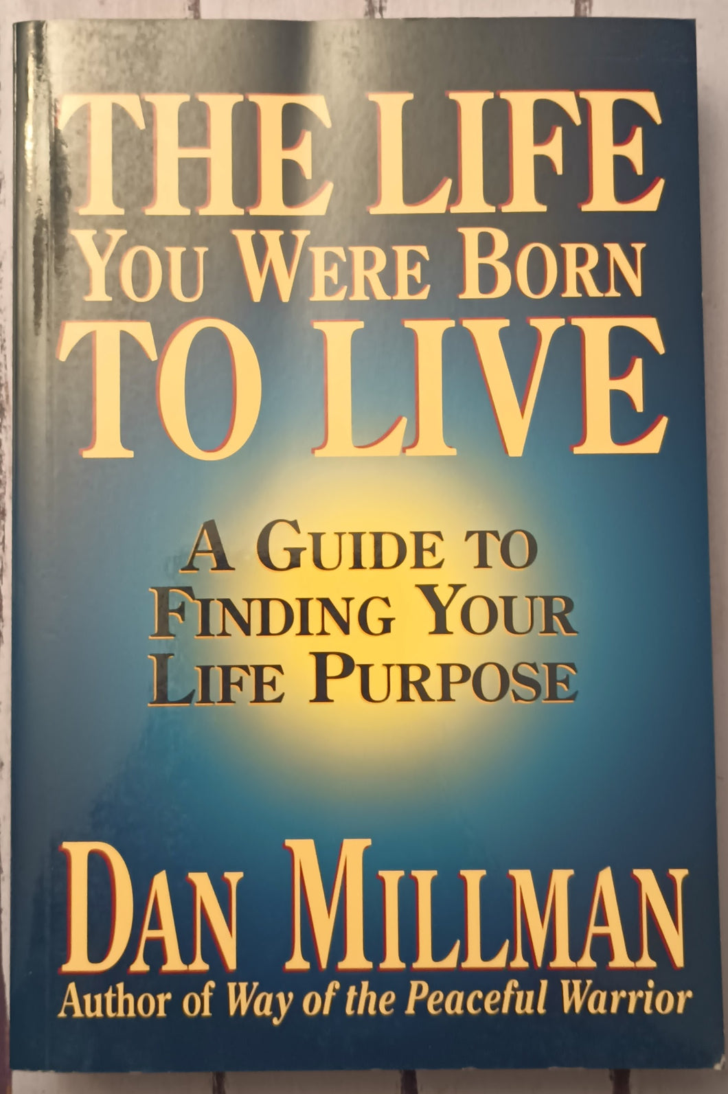 Live the Life You Love: In Ten Easy Step-By Step Lessons