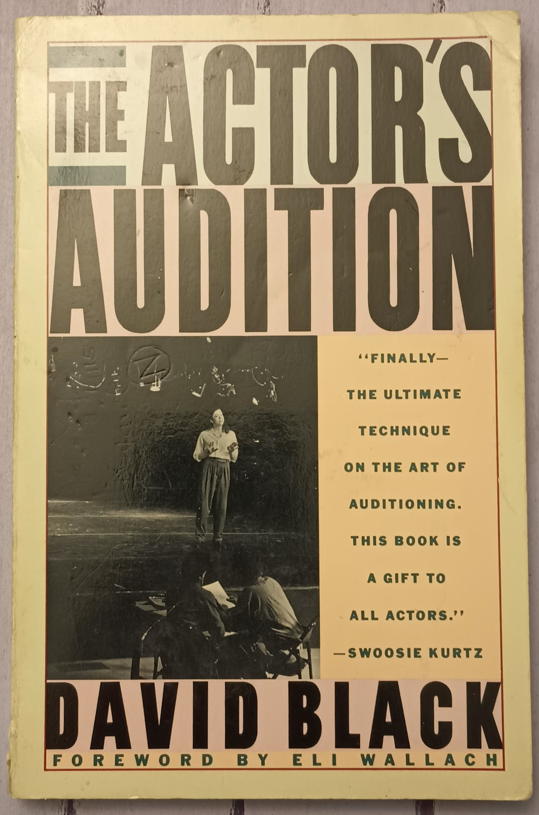 The Actor's Audition