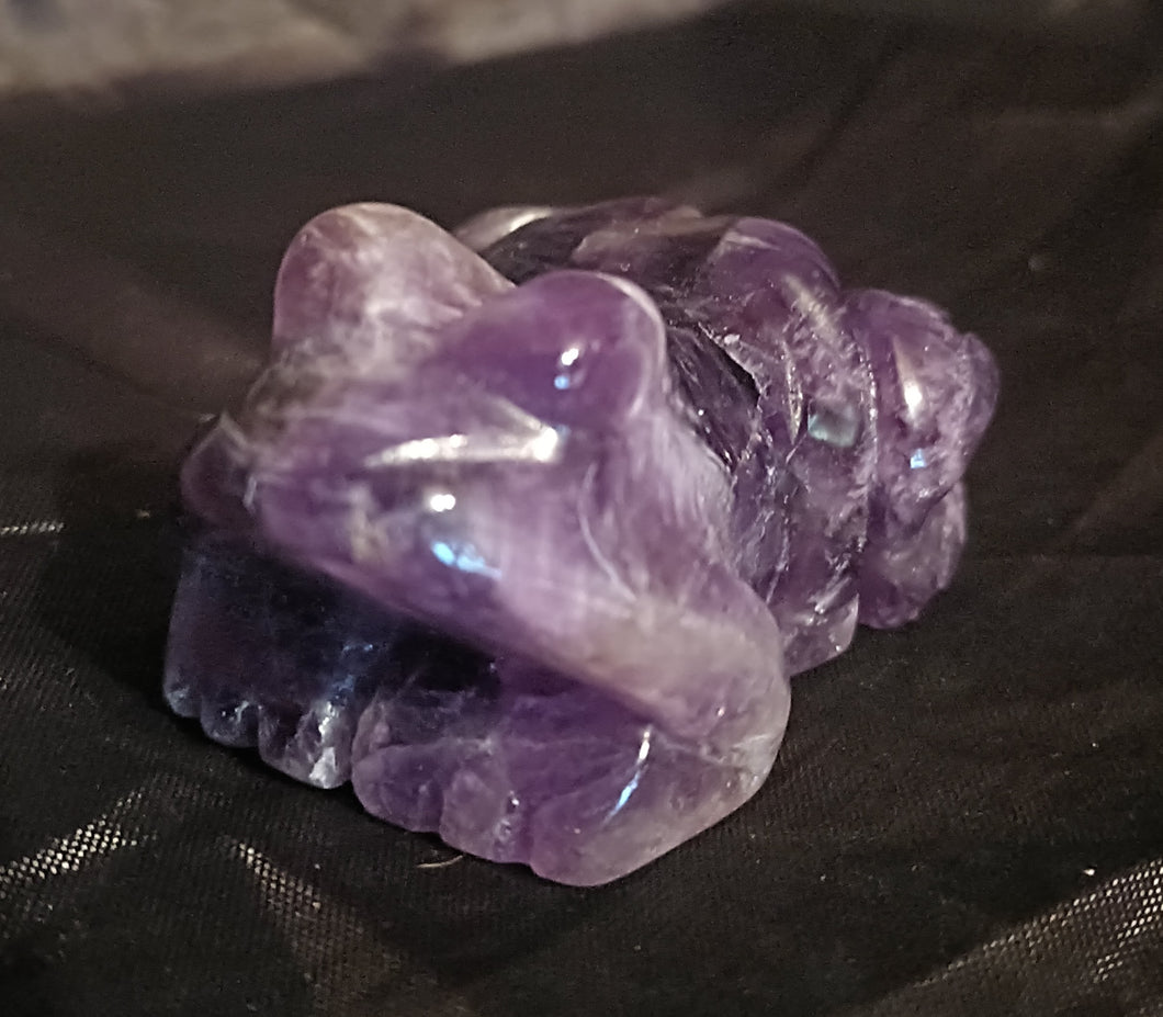 Amethyst Frog