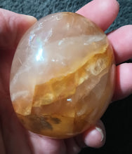 Load image into Gallery viewer, Golden Healer Palm Stone
