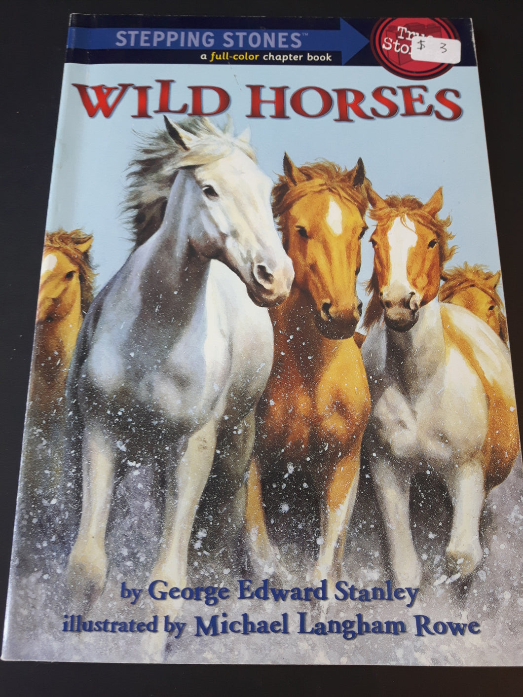 Wild Horses