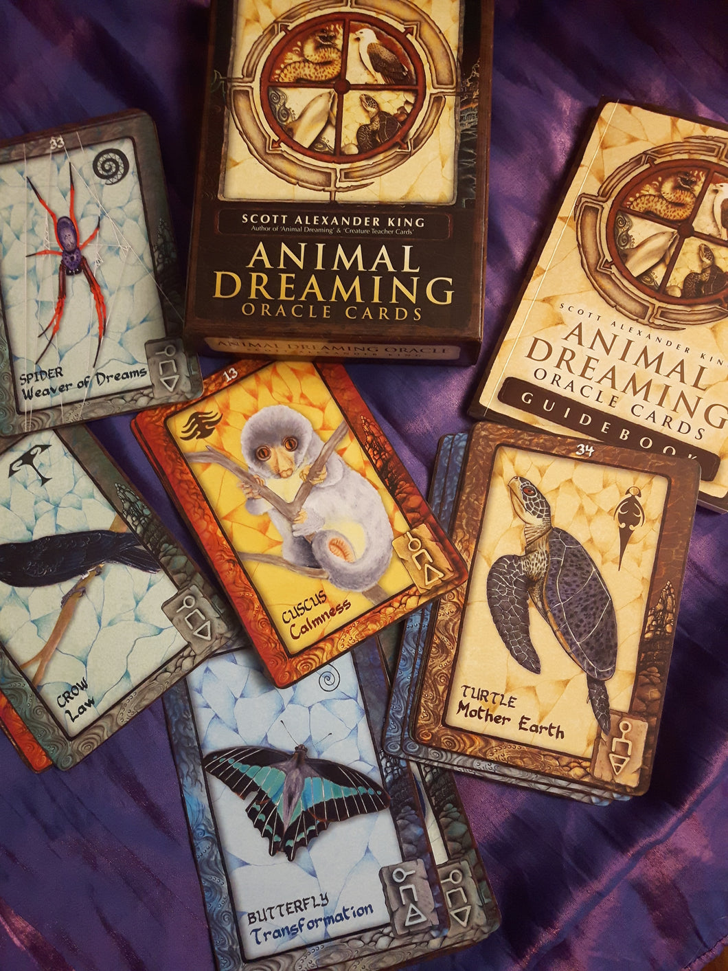 Animal Dreaming Oracle Cards