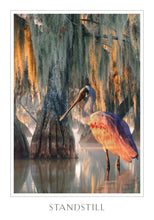 Load image into Gallery viewer, Sacred Destiny Oracle
