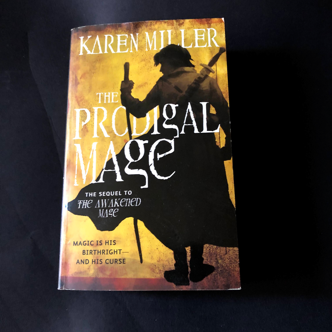 The Prodigal Mage