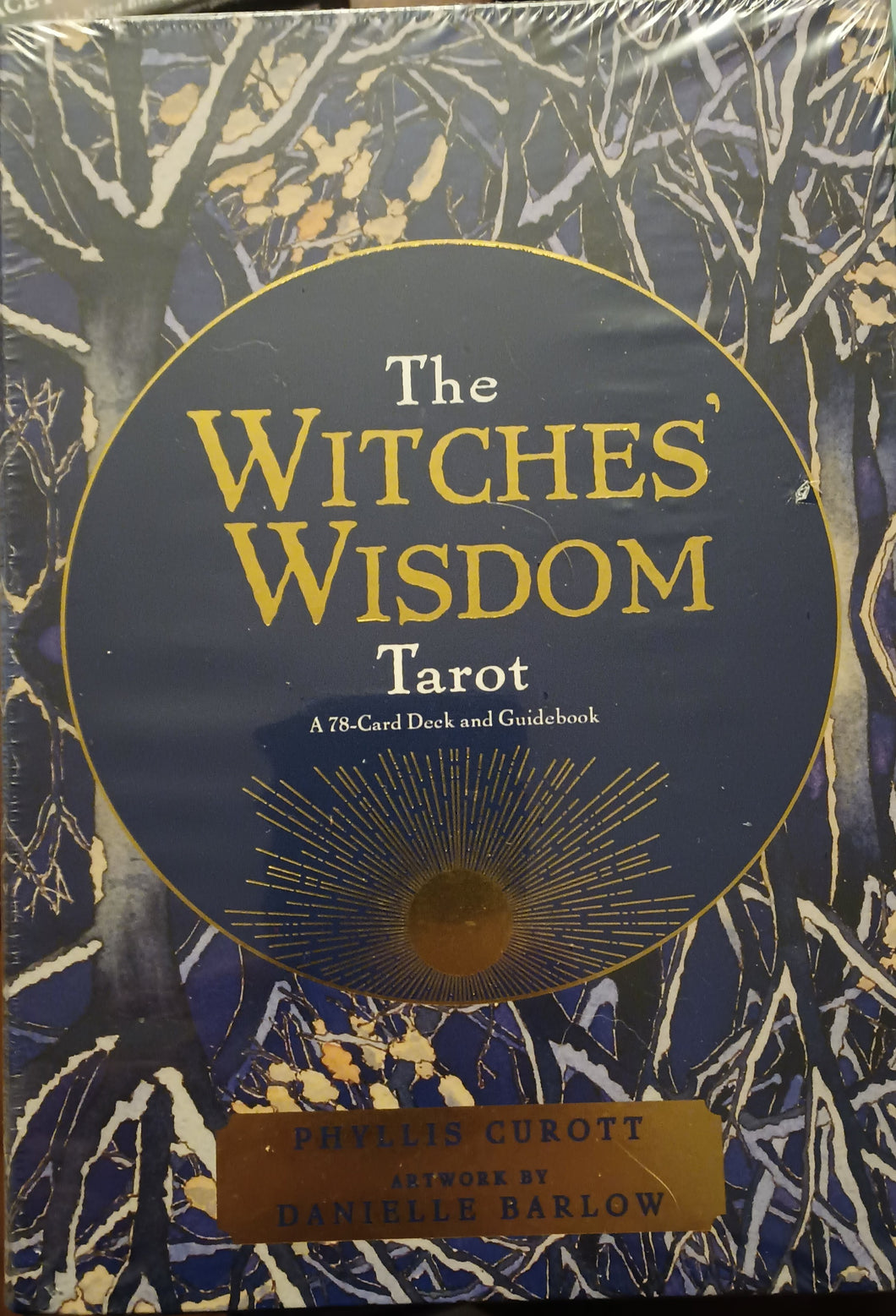 The Witches Wisdom Tarot